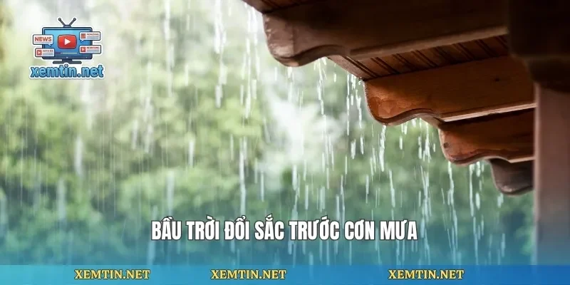 Bầu trời đổi sắc trước cơn mưa