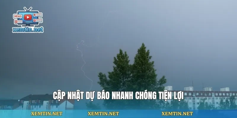 Cập nhật dự báo nhanh chóng tiện lợi