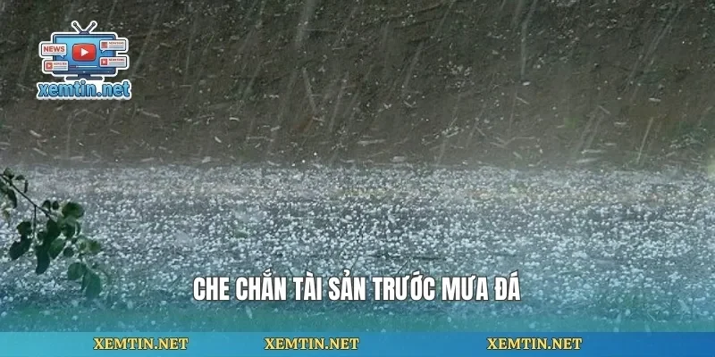 Che chắn tài sản trước mưa đá