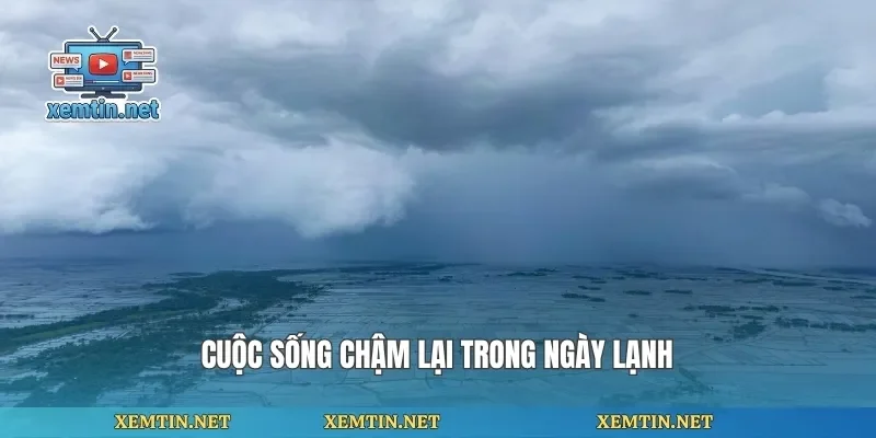 Cuộc sống chậm lại trong ngày lạnh