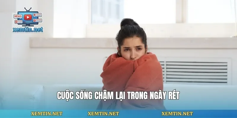 Cuộc sống chậm lại trong ngày rét