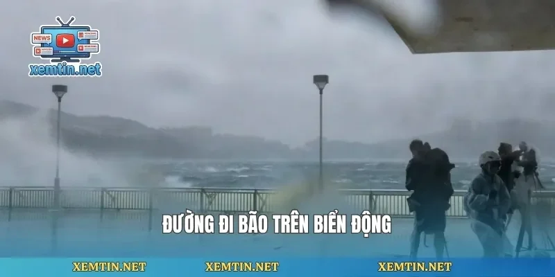 Đường đi bão trên biển động