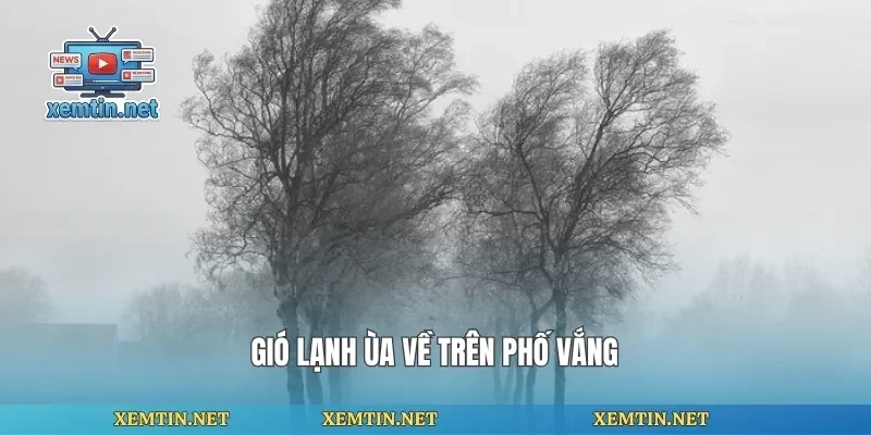 Gió lạnh ùa về trên phố vắng