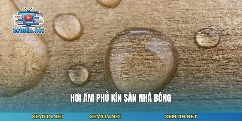 Hơi ẩm phủ kín sàn nhà bóng