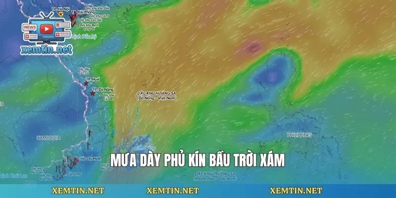Mưa dày phủ kín bầu trời xám