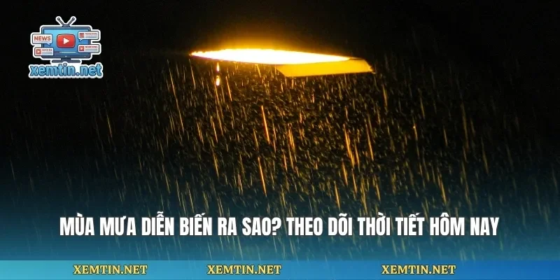 Mùa Mưa Diễn Biến Ra Sao