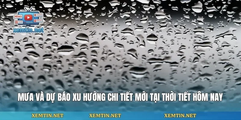 Mưa Và Dự Báo Xu Hướng