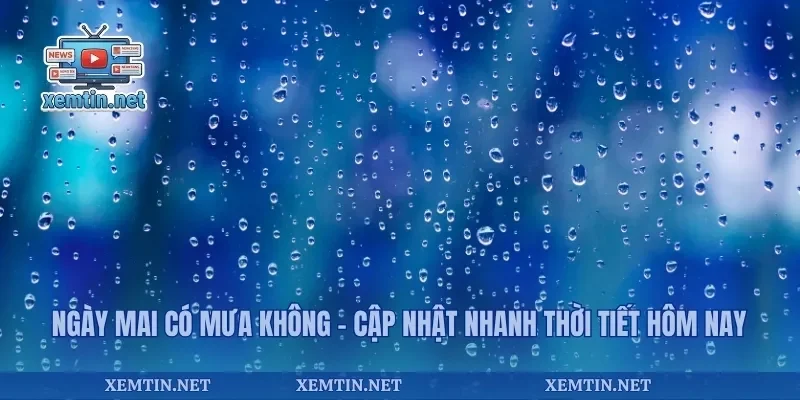 Ngày Mai Có Mưa Không
