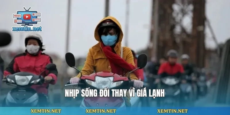 Nhịp sống đổi thay vì giá lạnh