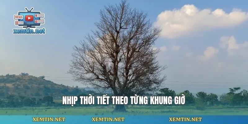 Nhịp thời tiết theo từng khung giờ