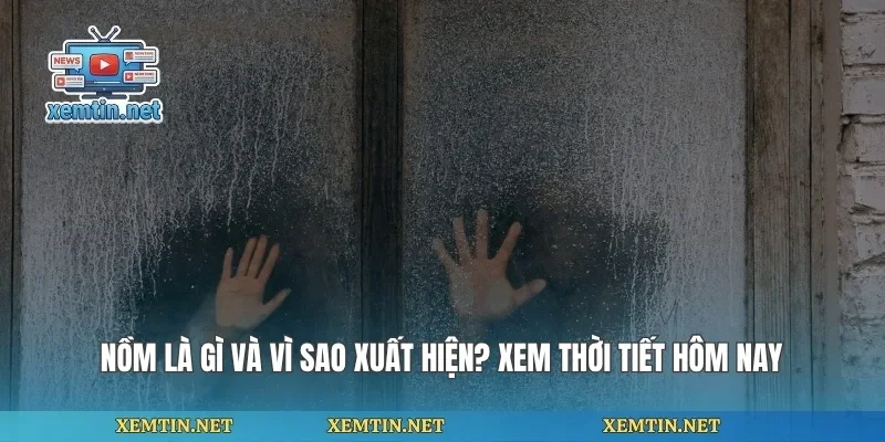Nồm Là Gì Và Vì Sao Xuất Hiện