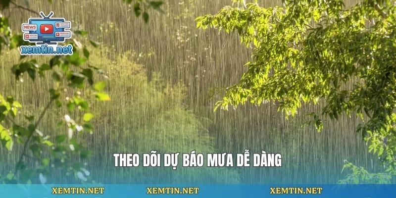 Theo dõi dự báo mưa dễ dàng
