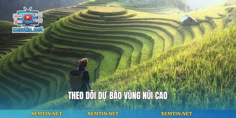 Theo dõi dự báo vùng núi cao