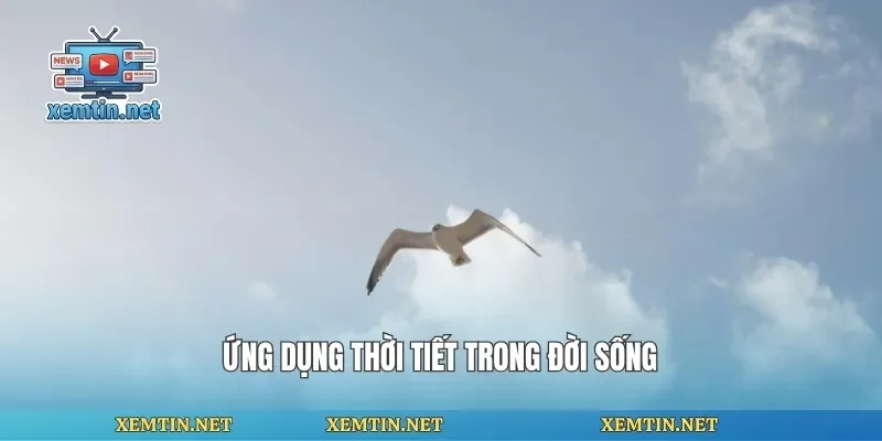 Ứng dụng thời tiết trong đời sống