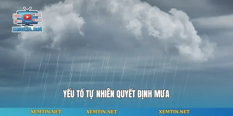 Yếu tố tự nhiên quyết định mưa